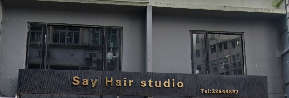 洗剪吹/洗吹造型: Say Hair Studio